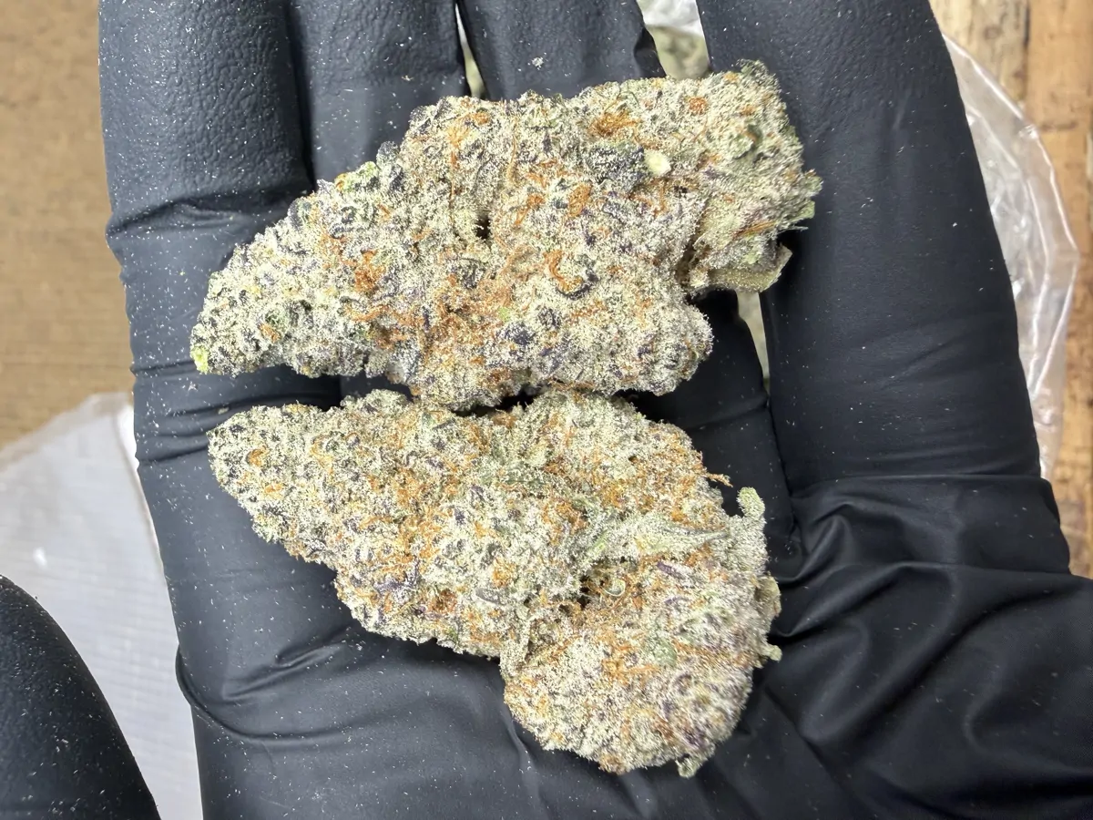 Frozen Dream Flower